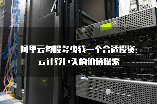 阿里云每股多少钱一个合适投资:云计算巨头的价值探索