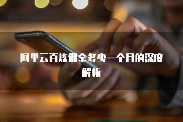 阿里云百炼佣金多少一个月的深度解析