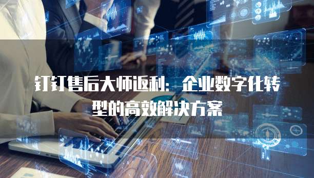 钉钉售后大师返利:企业数字化转型的高效解决方案