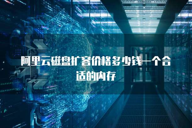 阿里云磁盘扩容价格多少钱一个合适的内存