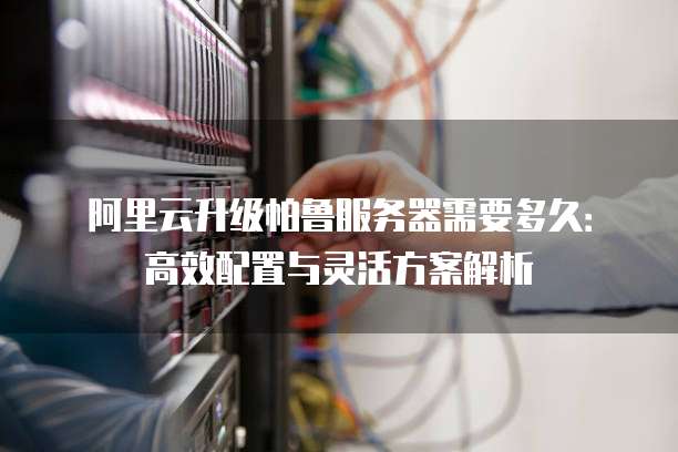 阿里云升级帕鲁服务器需要多久：高效配置与灵活方案解析