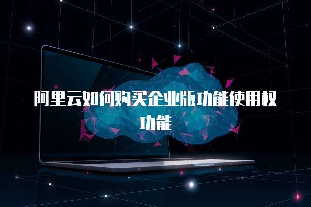 阿里云如何购买企业版功能使用权功能