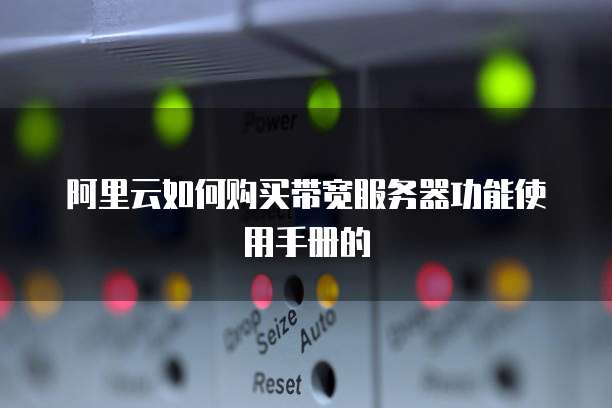 阿里云如何购买带宽服务器功能使用手册的
