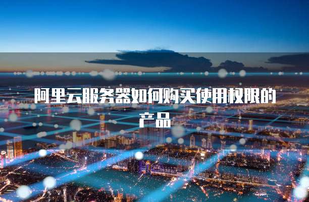 阿里云服务器如何购买使用权限的产品