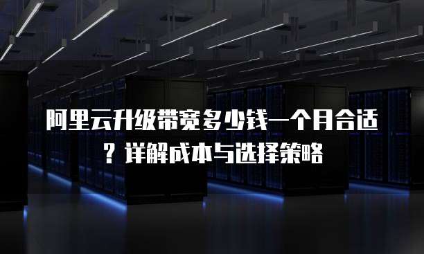 阿里云升级带宽多少钱一个月合适?详解成本与选择策略