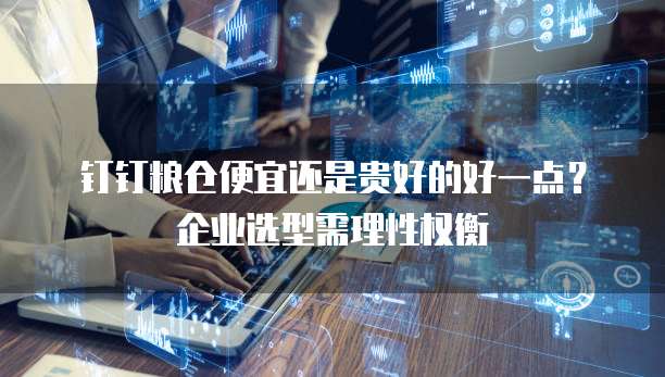 钉钉粮仓便宜还是贵好的好一点?企业选型需理性权衡