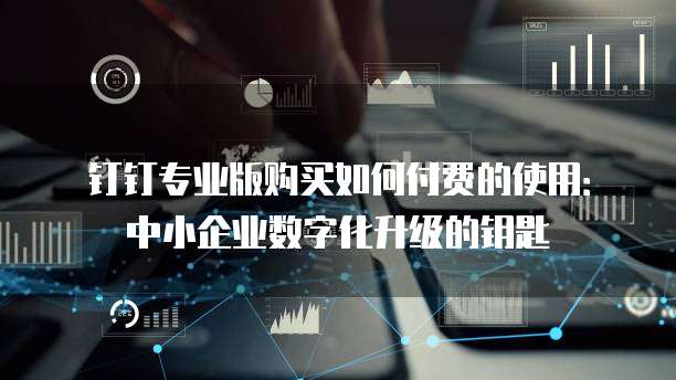 钉钉专业版购买如何付费的使用:中小企业数字化升级的钥匙