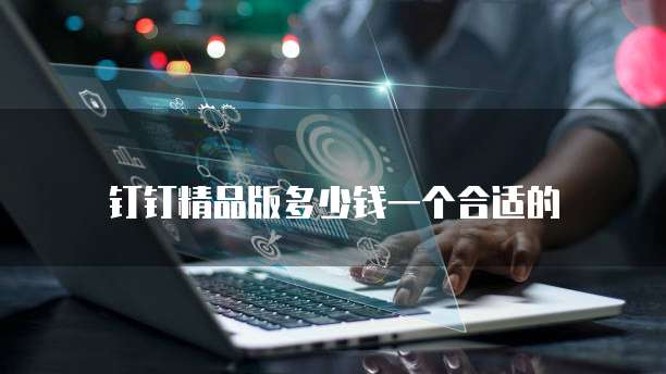 钉钉精品版多少钱一个合适的