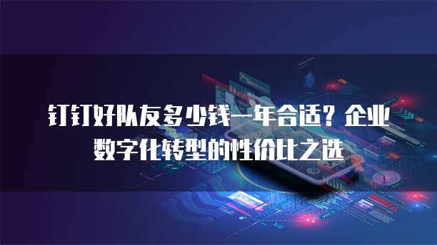 钉钉好队友多少钱一年合适?企业数字化转型的性价比之选