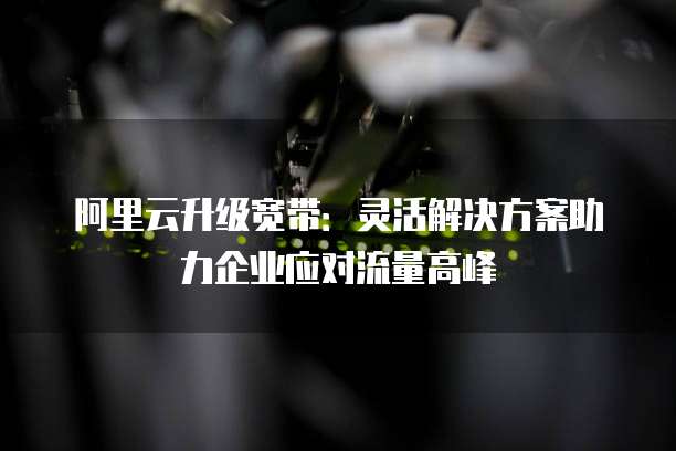 阿里云升级宽带:灵活解决方案助力企业应对流量高峰