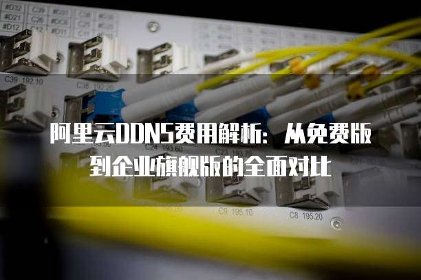 阿里云DDNS费用解析:从免费版到企业旗舰版的全面对比