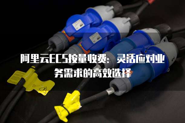 阿里云ECS按量收费：灵活应对业务需求的高效选择