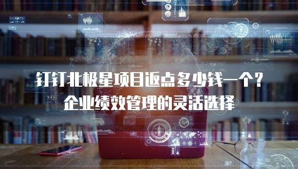 钉钉北极星项目返点多少钱一个？企业绩效管理的灵活选择