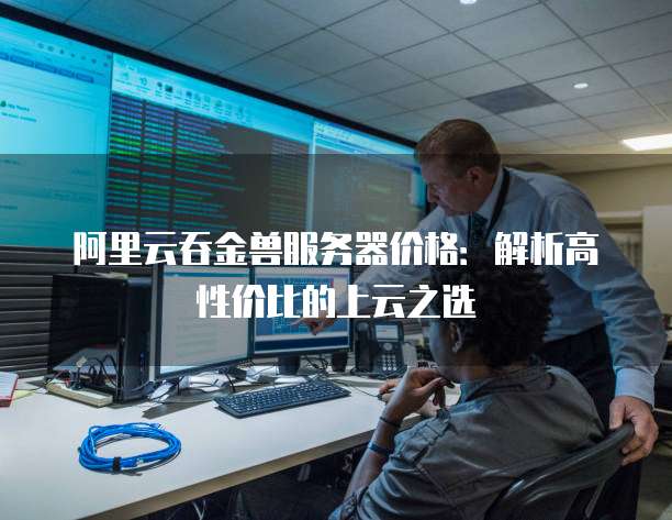 阿里云吞金兽服务器价格：解析高性价比的上云之选