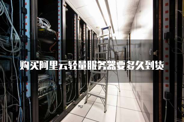 购买阿里云轻量服务器要多久到货