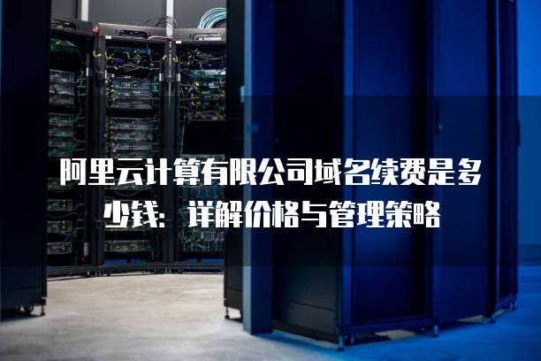 阿里云计算有限公司域名续费是多少钱:详解价格与管理策略