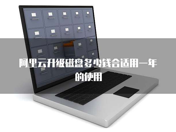 阿里云升级磁盘多少钱合适用一年的使用