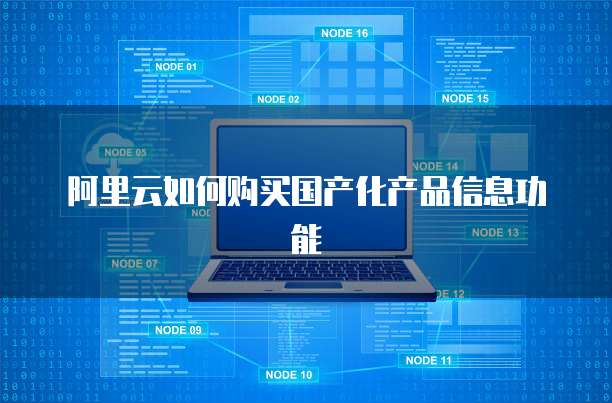 阿里云如何购买国产化产品信息功能