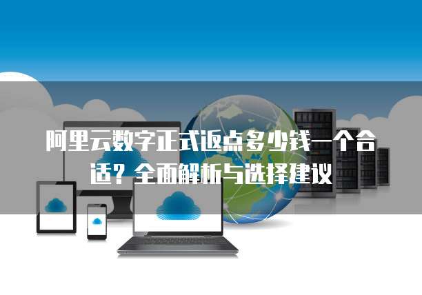 阿里云数字正式返点多少钱一个合适?全面解析与选择建议