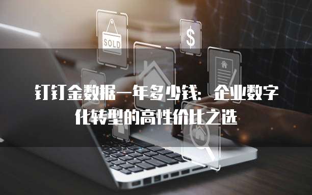 钉钉金数据一年多少钱:企业数字化转型的高性价比之选