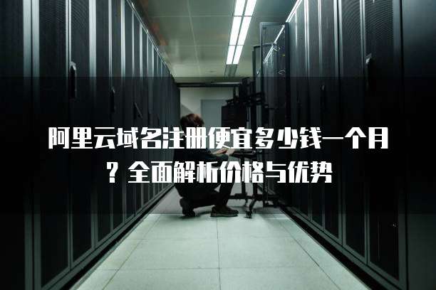 阿里云域名注册便宜多少钱一个月？全面解析价格与优势