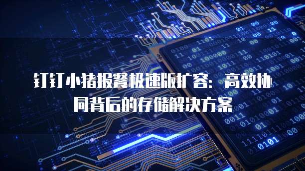 钉钉小猪报餐极速版扩容:高效协同背后的存储解决方案