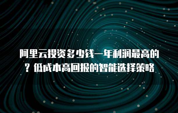 阿里云投资多少钱一年利润最高的?低成本高回报的智能选择策略