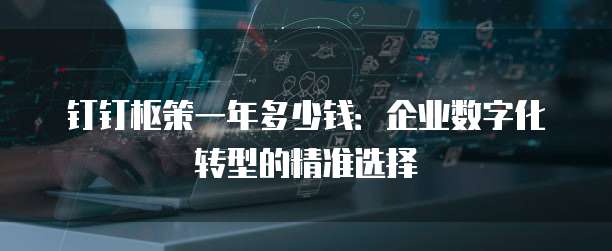钉钉枢策一年多少钱:企业数字化转型的精准选择