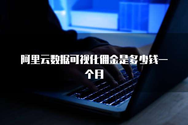 阿里云数据可视化佣金是多少钱一个月
