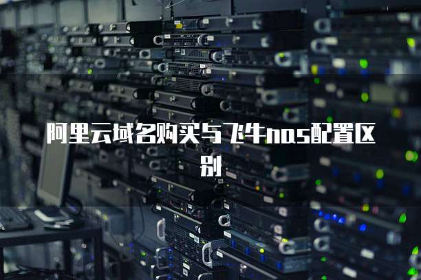 阿里云域名购买与飞牛nas配置区别