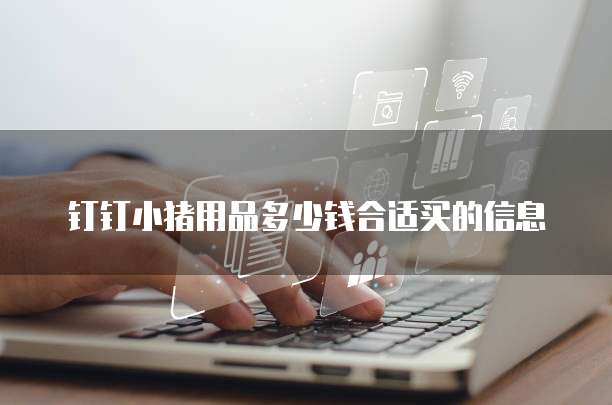 钉钉小猪用品多少钱合适买的信息