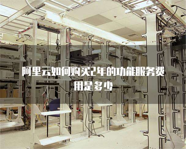 阿里云如何购买2年的功能服务费用是多少