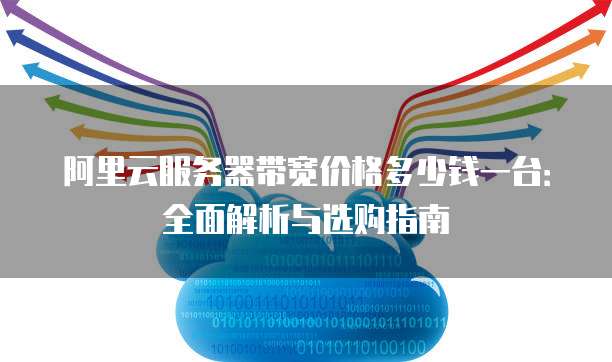 阿里云服务器带宽价格多少钱一台:全面解析与选购指南