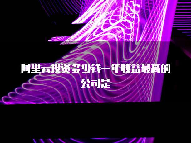 阿里云投资多少钱一年收益最高的公司是