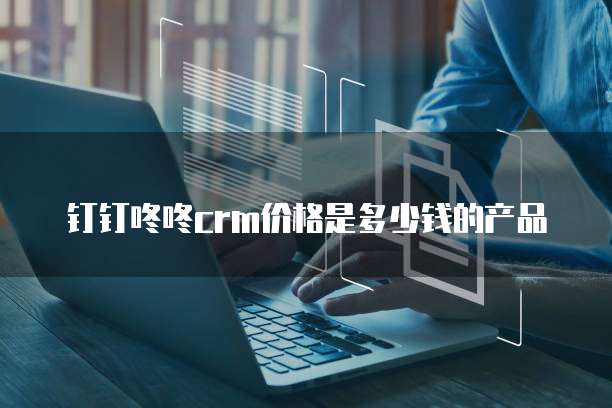 钉钉咚咚crm价格是多少钱的产品
