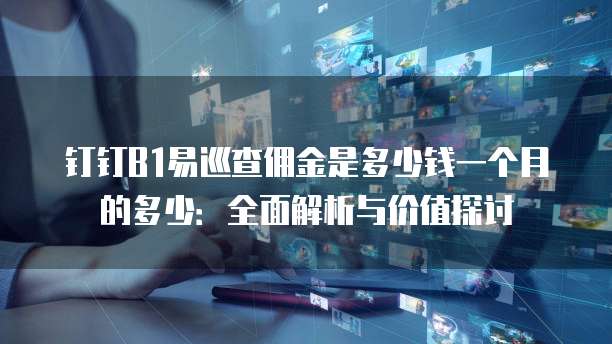 钉钉B1易巡查佣金是多少钱一个月的多少:全面解析与价值探讨