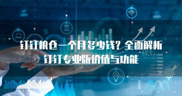 钉钉粮仓一个月多少钱?全面解析钉钉专业版价值与功能