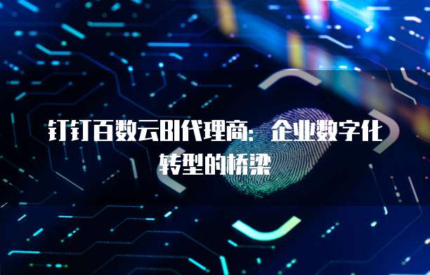 钉钉百数云BI代理商:企业数字化转型的桥梁