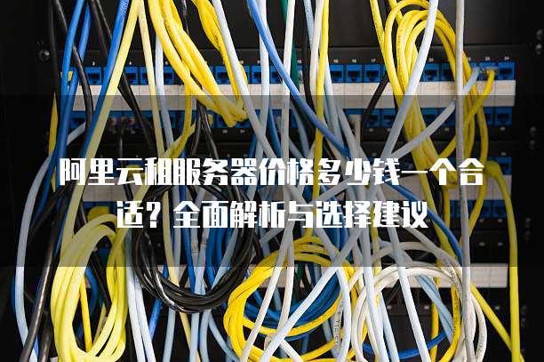 阿里云租服务器价格多少钱一个合适?全面解析与选择建议