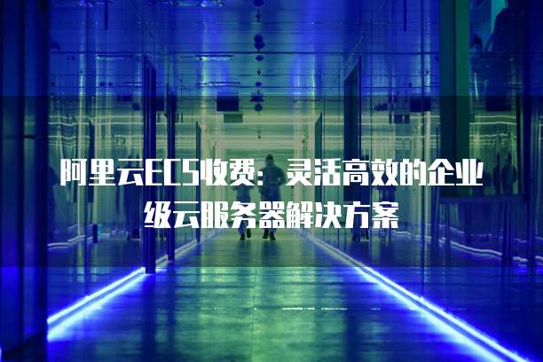 阿里云ECS收费:灵活高效的企业级云服务器解决方案