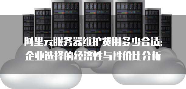 阿里云服务器维护费用多少合适:企业选择的经济性与性价比分析