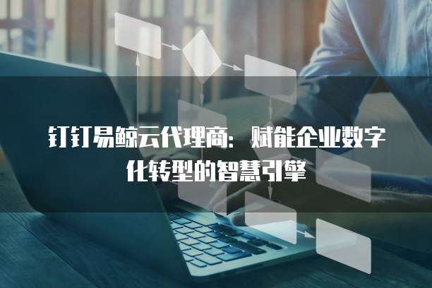 钉钉易鲸云代理商:赋能企业数字化转型的智慧引擎