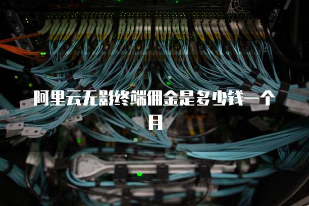 阿里云无影终端佣金是多少钱一个月