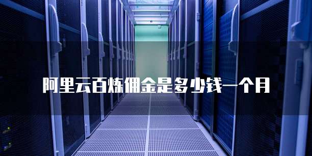 阿里云百炼佣金是多少钱一个月