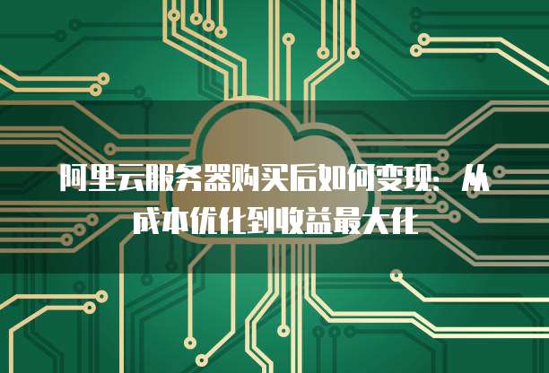 阿里云服务器购买后如何变现:从成本优化到收益最大化