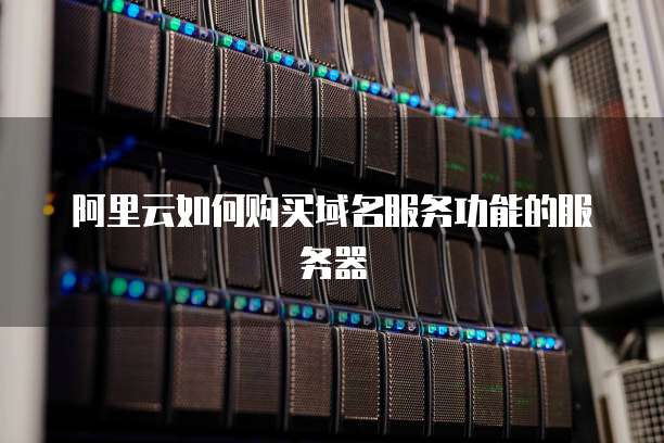 阿里云如何购买域名服务功能的服务器