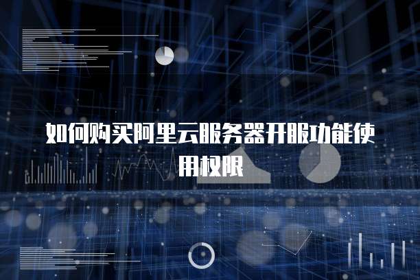 如何购买阿里云服务器开服功能使用权限