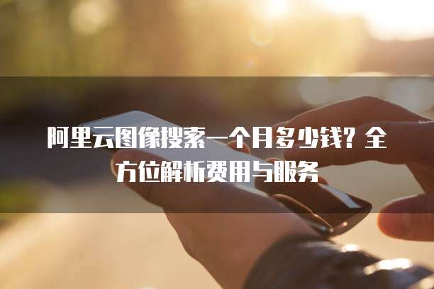 阿里云图像搜索一个月多少钱?全方位解析费用与服务