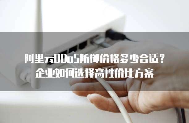 阿里云DDoS防御价格多少合适？企业如何选择高性价比方案