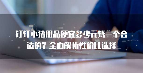 钉钉小猪用品便宜多少元钱一个合适的?全面解析性价比选择